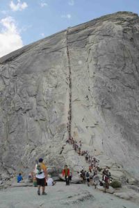 Half dome cables