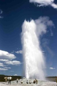 Old Faithful in Yellow Stone