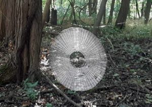 미주리 주에서 발견된 공포의 거미줄 사람도 잡을 만큼 커