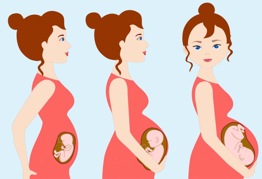 자궁내 태아들, 코로나19 항체 산모로부터 얻는다는 연구 결과