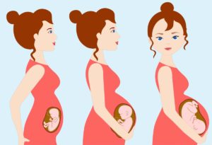 자궁내 태아들, 코로나19 항체 산모로부터 얻는다는 연구 결과