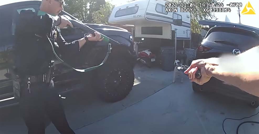 LAPD, 목줄 없는 핏불 경찰이 빈백 샷건 으로 공격한 후 논란일자 바디캠 영상 공개