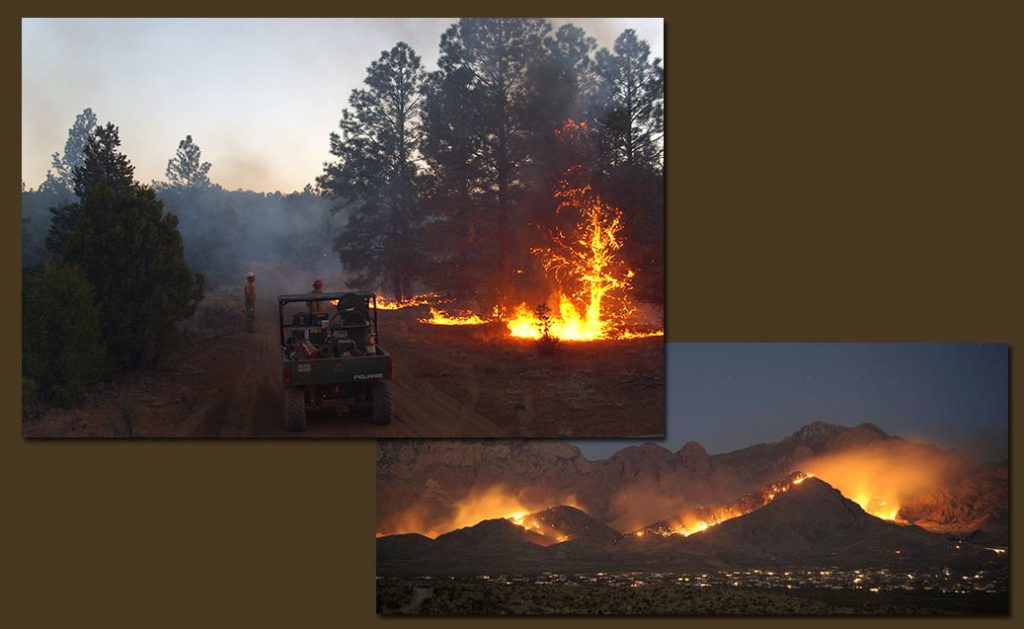 New_Mexico_Fire_2