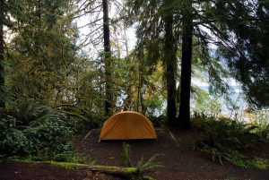 올림픽 국립공원 (Olympic National Park)