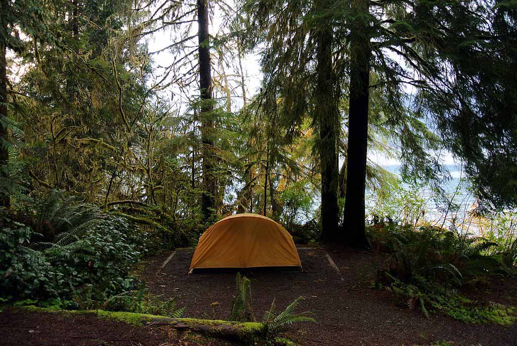 올림픽 국립공원 (Olympic National Park)