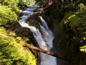 ONP - 솔덕계곡(Sol Duc Valley)