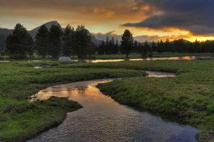 투올러미 초원(Tuolumne Meadows)
