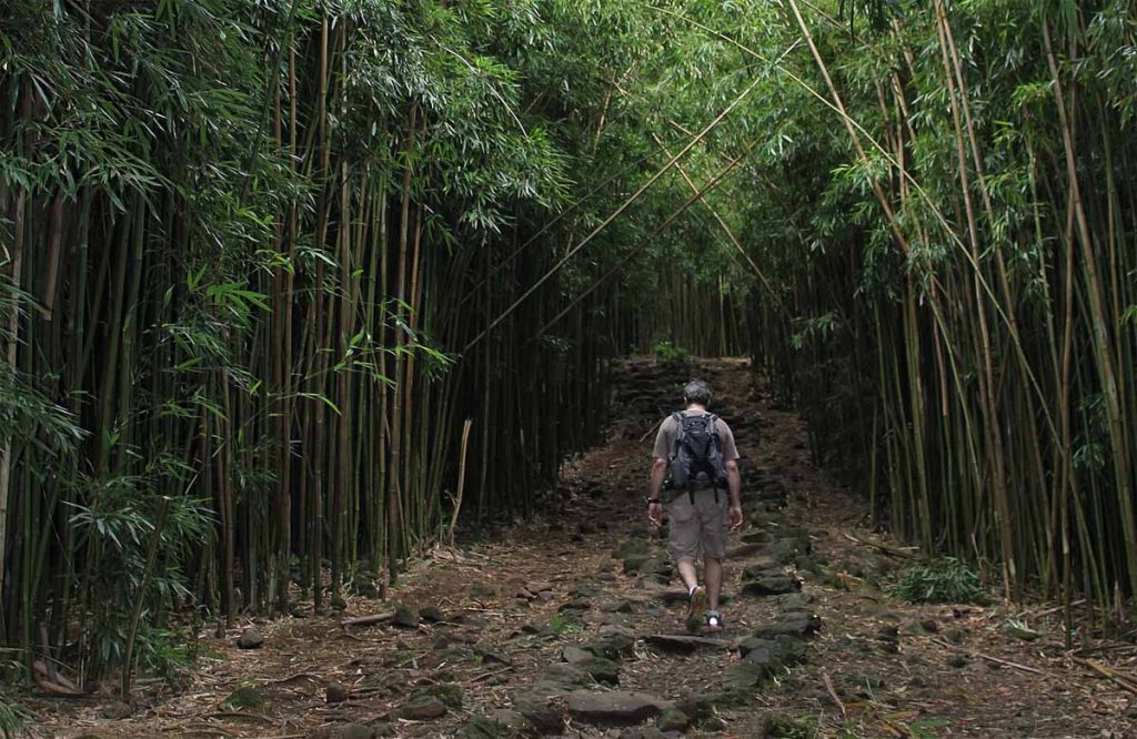 피피와이 트레일(Pipiwai Trail)