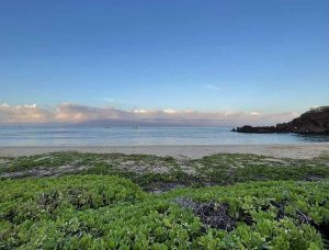 카아나팔리 비치(Ka'anapali Beach)