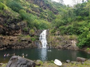 와이메아 밸리(Waimea Valley)