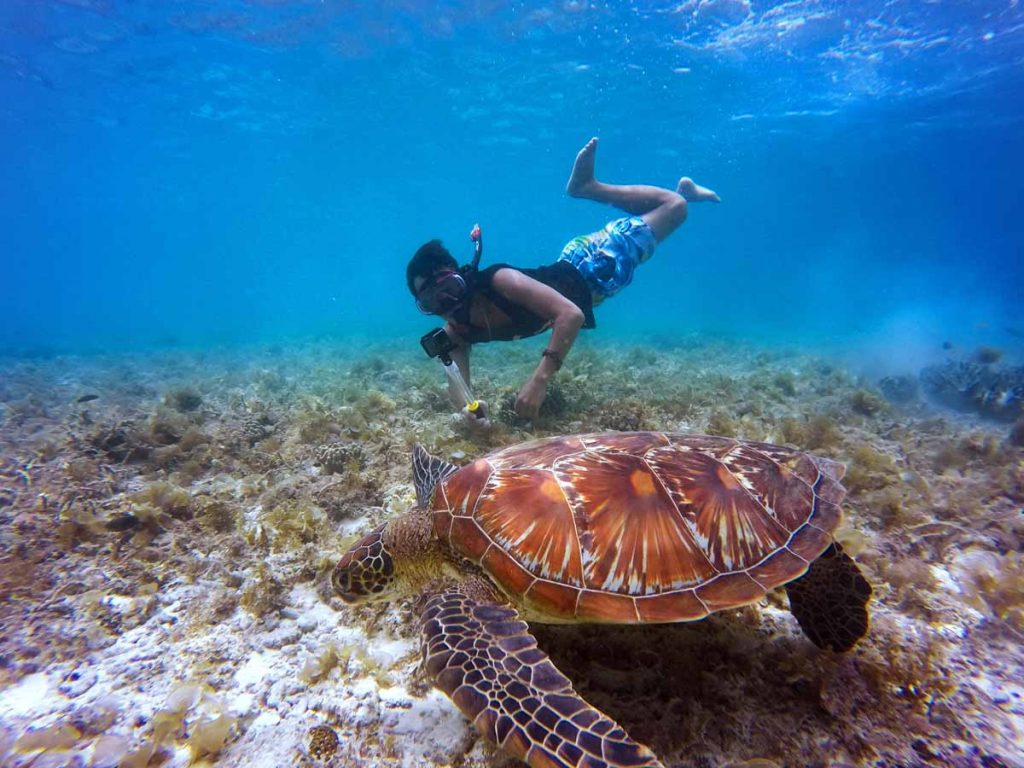 마우이의 스노클링(Snorkeling) 투어