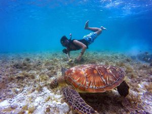 마우이의 스노클링(Snorkeling) 투어