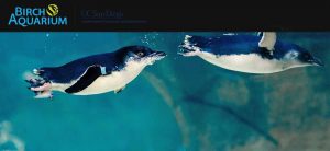 스크립스 버치 수족관(Birch Aquarium at Scripps)