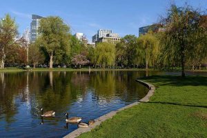 보스턴 공중 가든(Boston Public Garden)