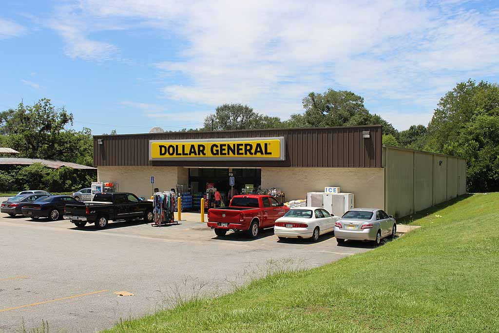 달러 제너럴(Dollar General) 주가 크게 하락