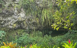 펀 그로토(Fern Grotto)