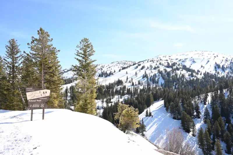 그랜드 타기 리조트(Grand Targhee Resort)