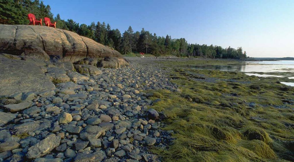 인디언 포인트 블래그던 보호구역(Indian Point-Blagden Preserve)