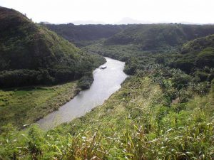 와일루아 강 주립공원(Wailua River State Park)