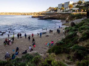 라 졸라 코브(La Jolla Cove)
