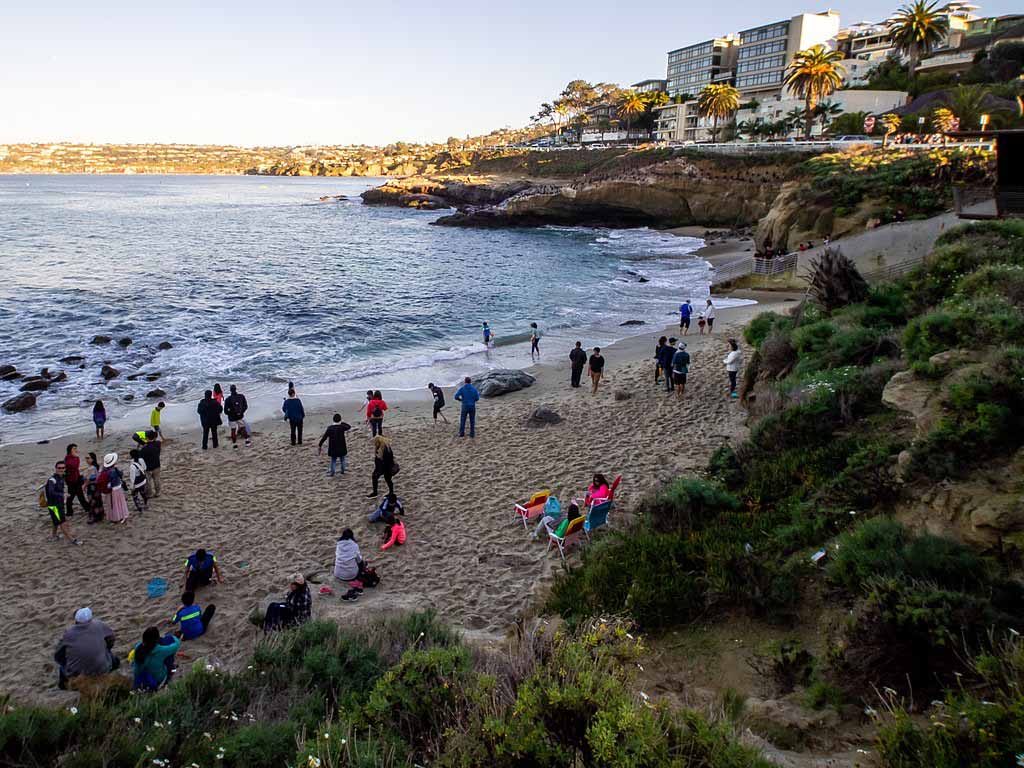 라 졸라 코브(La Jolla Cove)