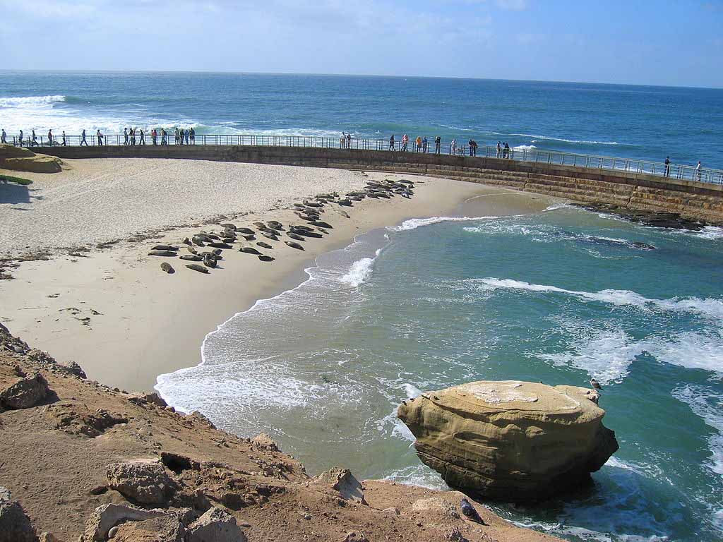 라호야의 어린이 풀(Children's Pool in La Jolla)