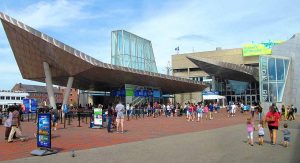 뉴잉글랜드 수족관(New England Aquarium)