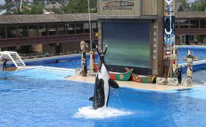 샌디에고 씨월드(SeaWorld)