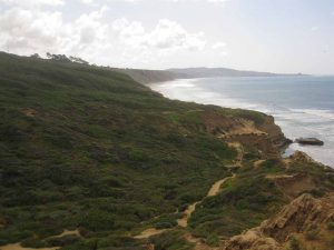 토리 소나무 주립 자연보호구역(Torrey Pines State Natural Reserve)