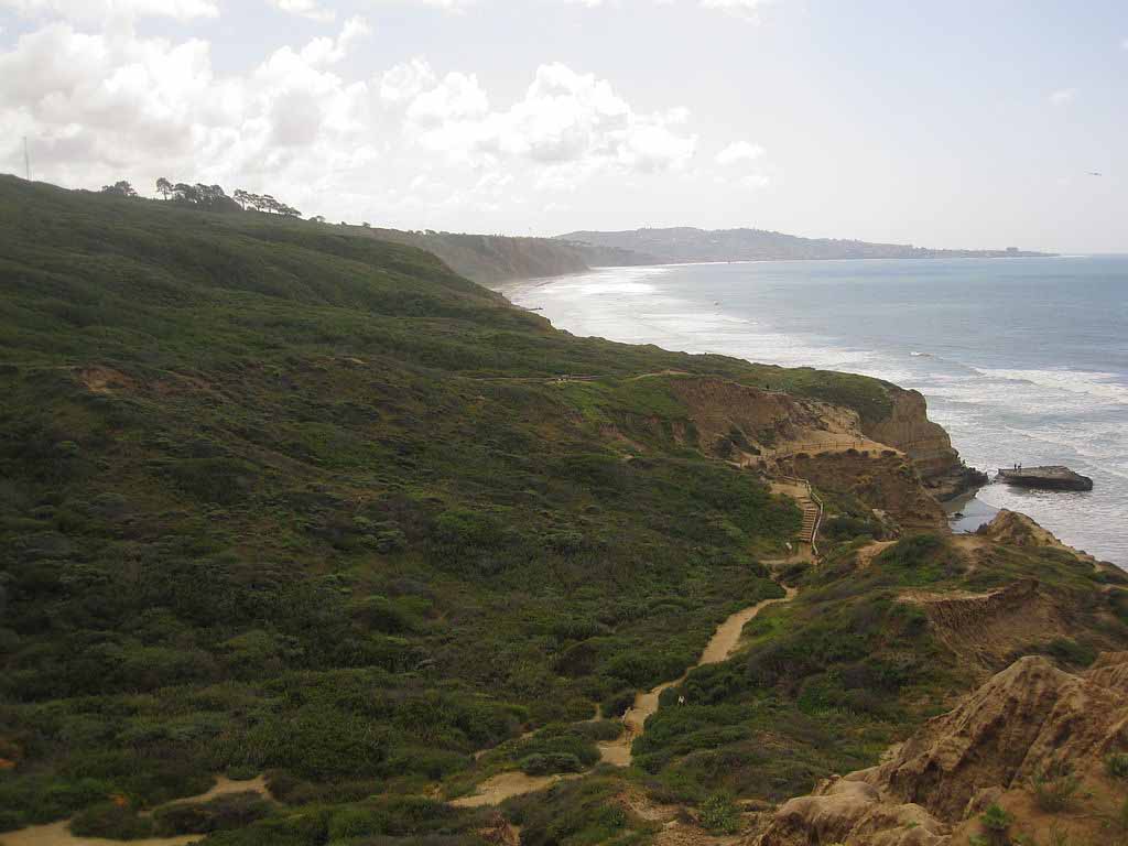 토리 소나무 주립 자연보호구역(Torrey Pines State Natural Reserve)