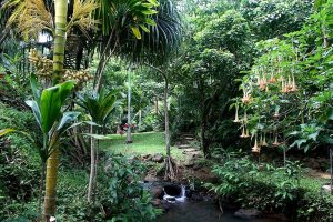 프린스빌 식물원(Princeville Botanical Gardens)