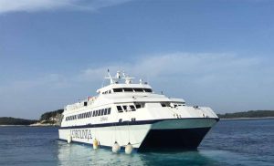 샌디에고 베이 크루즈(San Diego Bay Cruises)