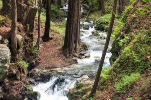 라임킬른 주립공원(Limekiln State Park)