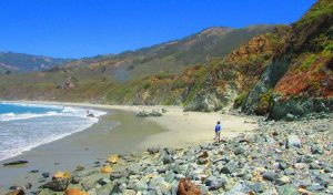 샌드 달러 비치(Sand Dollar Beach)