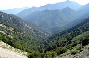 앤젤레스 국유림(Angeles National Forest)