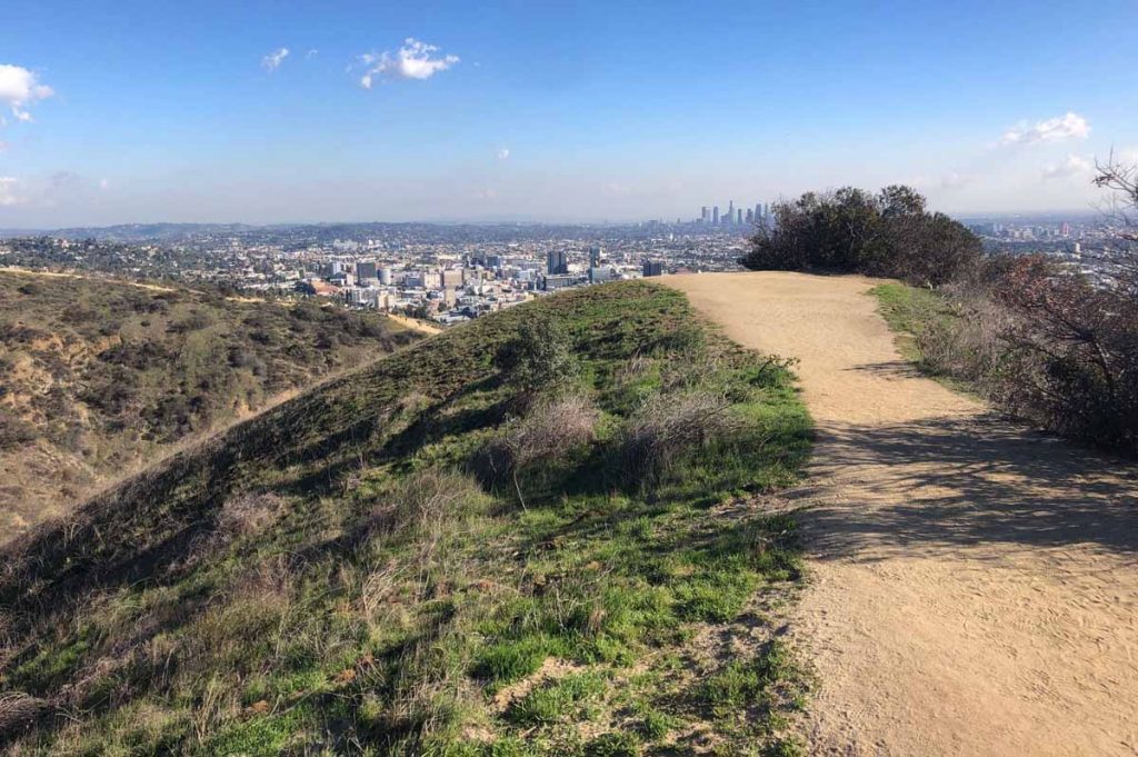 러니언 캐년 공원(Runyon Canyon Park)