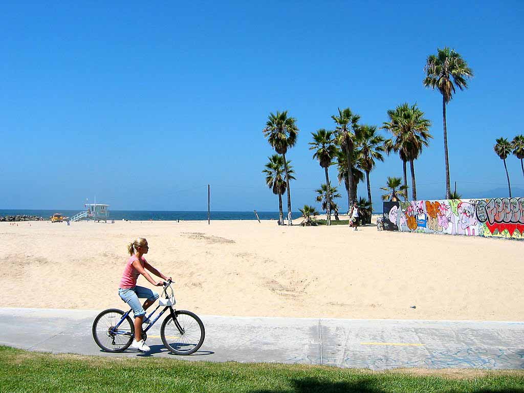 베니스 해변(Venice Beach)
