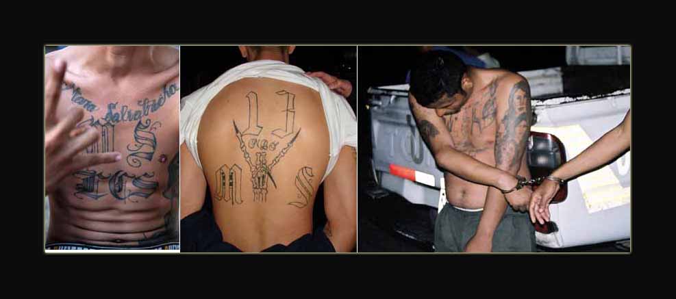MS-13과 뉴욕 거점의 베네수엘라 출신 갱단간의 동맹 정황