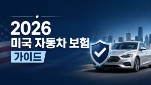 자동차 보험