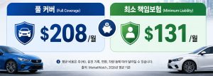 자동차 보험