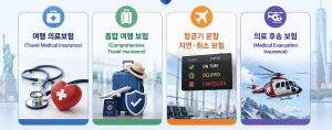 여행 보험